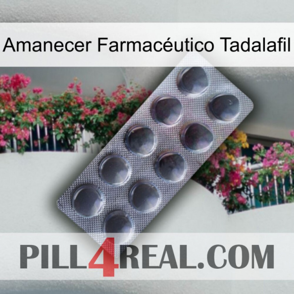 Amanecer Farmacéutico Tadalafil 30.jpg